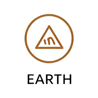 Earth icon New